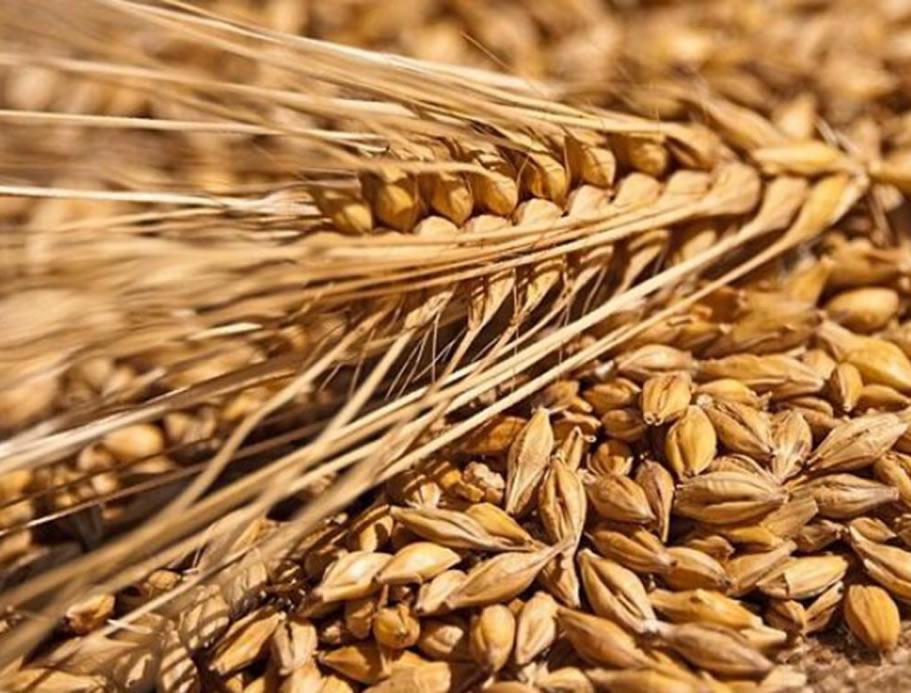 中風偏癱病例探索